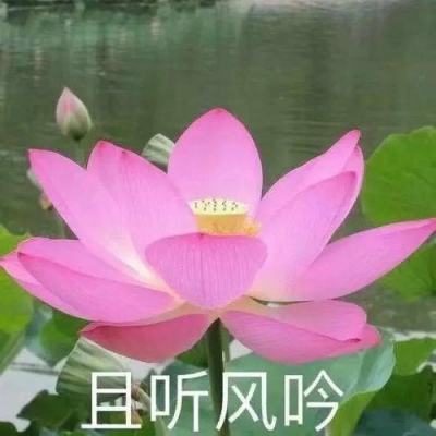 江山手游下载